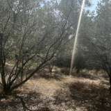  For Sale - (€ 0 / m2), Agricultural 6036 m2 Kavala 8099360 thumb2