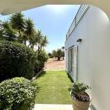   Moncarapacho (East Algarve) 8199360 thumb22
