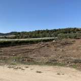  For Sale - (€ 0 / m2), Agricultural 3500 m2 Eleftheres 8099363 thumb0