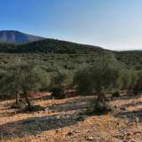  For Sale - (€ 0 / m2), Agricultural 4138 m2 Thasos 8099364 thumb4