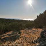  For Sale - (€ 0 / m2), Agricultural 4138 m2 Thasos 8099364 thumb3