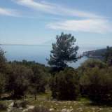  For Sale - (€ 0 / m2), Agricultural 7194 m2 Thasos 8099389 thumb0