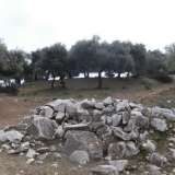  For Sale - (€ 0 / m2), Agricultural 1305 m2 Thasos 8099393 thumb4