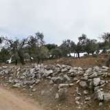  For Sale - (€ 0 / m2), Agricultural 1305 m2 Thasos 8099393 thumb6