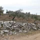  For Sale - (€ 0 / m2), Agricultural 1305 m2 Thasos 8099393 thumb3