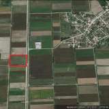  For Sale - (€ 0 / m2), Agricultural 25000 m2 Chrisoupoli 8099402 thumb0