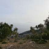  For Sale - (€ 0 / m2), Agricultural 8804 m2 Thasos 8099403 thumb4