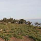  For Sale - (€ 0 / m2), Agricultural 8804 m2 Thasos 8099403 thumb2
