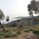  For Sale - (€ 0 / m2), Agricultural 8804 m2 Thasos 8099403 thumb0