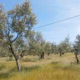  For Sale - (€ 0 / m2), Agricultural 7310 m2 Thasos 8099404 thumb6