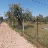  For Sale - (€ 0 / m2), Agricultural 7310 m2 Thasos 8099404 thumb1