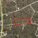  For Sale - (€ 0 / m2), Agricultural 7310 m2 Thasos 8099404 thumb7