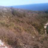  For Sale - (€ 0 / m2), Agricultural 57600 m2 Thasos 8099407 thumb5