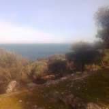  For Sale - (€ 0 / m2), Agricultural 57600 m2 Thasos 8099407 thumb2