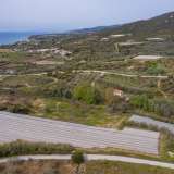  For Sale - (€ 0 / m2), Agricultural 5188 m2 Eleftheres 8099041 thumb2