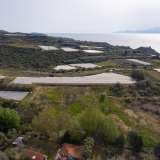  For Sale - (€ 0 / m2), Agricultural 5188 m2 Eleftheres 8099041 thumb6