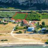  For Sale - (€ 0 / m2), Agricultural 6625 m2 Orfano 8099413 thumb1