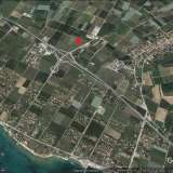  For Sale - (€ 0 / m2), Agricultural 18872 m2 Orfano 8099424 thumb1