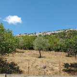  For Sale - (€ 0 / m2), Agricultural 4950 m2 Thasos 8099427 thumb4
