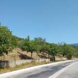  For Sale - (€ 0 / m2), Agricultural 4950 m2 Thasos 8099427 thumb3