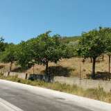  For Sale - (€ 0 / m2), Agricultural 4950 m2 Thasos 8099427 thumb2