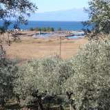  For Sale - (€ 0 / m2), Agricultural 12975 m2 Thasos 8099428 thumb2