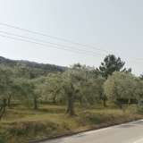  For Sale - (€ 0 / m2), Agricultural 12975 m2 Thasos 8099428 thumb4