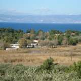  For Sale - (€ 0 / m2), Agricultural 12975 m2 Thasos 8099428 thumb0