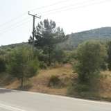  For Sale - (€ 0 / m2), Agricultural 12975 m2 Thasos 8099428 thumb5