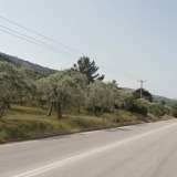  For Sale - (€ 0 / m2), Agricultural 12975 m2 Thasos 8099428 thumb3