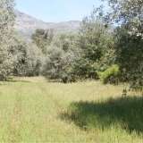 For Sale - (€ 0 / m2), Agricultural 6441 m2 Thasos 8099429 thumb3