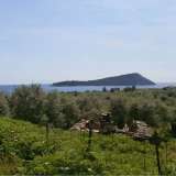  For Sale - (€ 0 / m2), Agricultural 4258 m2 Thasos 8099430 thumb4