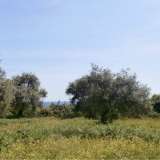  For Sale - (€ 0 / m2), Agricultural 4258 m2 Thasos 8099430 thumb0