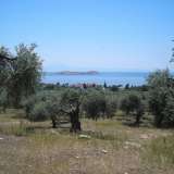  For Sale - (€ 0 / m2), Agricultural 34105 m2 Thasos 8099445 thumb6