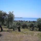  For Sale - (€ 0 / m2), Agricultural 34105 m2 Thasos 8099445 thumb4