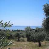  For Sale - (€ 0 / m2), Agricultural 34105 m2 Thasos 8099445 thumb5