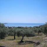  For Sale - (€ 0 / m2), Agricultural 34105 m2 Thasos 8099445 thumb2