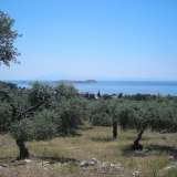  For Sale - (€ 0 / m2), Agricultural 34105 m2 Thasos 8099445 thumb3