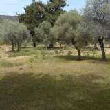  For Sale - (€ 0 / m2), Agricultural 1821 m2 Thasos 8099447 thumb2