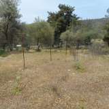  For Sale - (€ 0 / m2), Agricultural 1821 m2 Thasos 8099447 thumb3