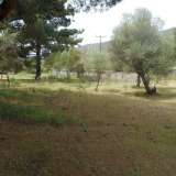  For Sale - (€ 0 / m2), Agricultural 1821 m2 Thasos 8099447 thumb5