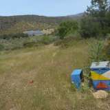 For Sale - (€ 0 / m2), Agricultural 635 m2 Thasos 8099450 thumb3