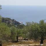  For Sale - (€ 0 / m2), Agricultural 4044 m2 Thasos 8099464 thumb0