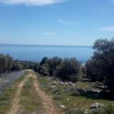  For Sale - (€ 0 / m2), Agricultural 4044 m2 Thasos 8099464 thumb6