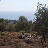 For Sale - (€ 0 / m2), Agricultural 4044 m2 Thasos 8099464 thumb7