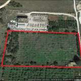  For Sale - (€ 0 / m2), Agricultural 10000 m2 Kavala 8099465 thumb0