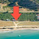  For Sale - (€ 0 / m2), Agricultural 13600 m2 Amfipoli 8099467 thumb0
