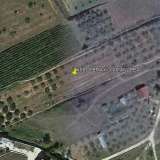 For Sale - (€ 0 / m2), Agricultural 6900 m2 Eleftheres 8099473 thumb0