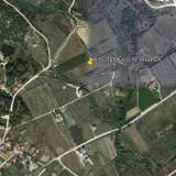 For Sale - (€ 0 / m2), Agricultural 6900 m2 Eleftheres 8099473 thumb1