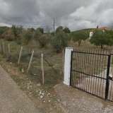  For Sale - (€ 0 / m2), Agricultural 6960 m2 Thasos 8099474 thumb5